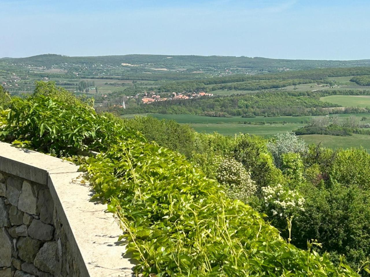 Borbora Borhaz Villa Vaszoly Экстерьер фото